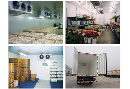 事实胜于雄辩，服务创造价值